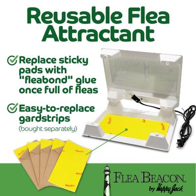 Show full view: Happy Jack Beacon Indoor Flea Trap slide 7 of 10