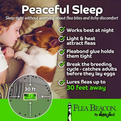 Show full view: Happy Jack Beacon Indoor Flea Trap slide 5 of 10