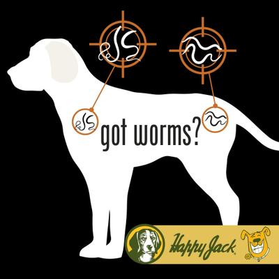 Show full view: Happy Jack Liqui-Vict 2X Liquid Dog Dewormer, 2-fl oz bottle slide 6 of 9