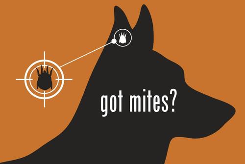 Show full view: Happy Jack Mitex Ear Mite Treatment for Dogs & Cats, 0.5-fl oz bottle slide 7 of 9