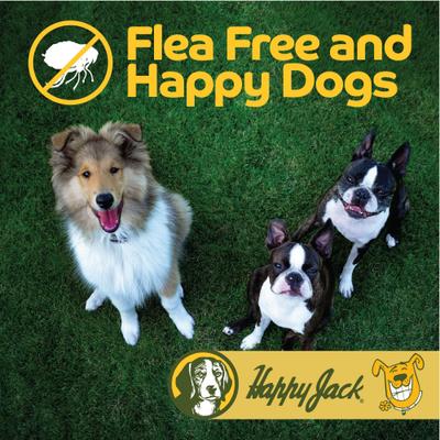 Show full view: Happy Jack Flea & Tick Powder for Dogs & Puppies, 5-oz container slide 3 of 9