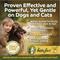 Show in main carousel: Happy Jack DD-33 Flea & Tick Treatment & Control Spray for Dogs & Cats, 16-fl oz bottle slide 4 of 7
