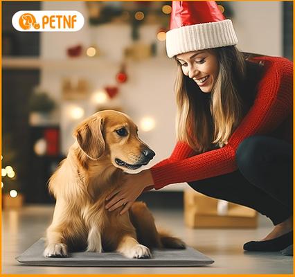 Show full view: PetNF Automatic Temperature Control Soft Electric Blanket Dog & Cat Heating Pad with Anti Bite Tube & Washable Cloth Cover, 19.6 x 11.8-in, Grey slide 6 of 7