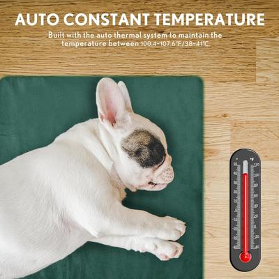 Show full view: PetNF Automatic Temperature Control Soft Electric Blanket Dog & Cat Heating Pad with Anti Bite Tube & Washable Cloth Cover, 19.6 x 11.8-in, Green slide 3 of 8