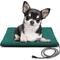 Show in main carousel: PetNF Automatic Temperature Control Soft Electric Blanket Dog & Cat Heating Pad with Anti Bite Tube & Washable Cloth Cover, 19.6 x 11.8-in, Green slide 1 of 8