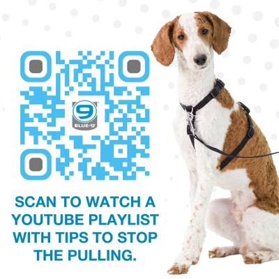 Show full view: Blue-9 Pet Products Reflective Buckle-Neck Balance Dog Harness, Blue Ice, Small: 17.5 to 25.5-in chest slide 8 of 9