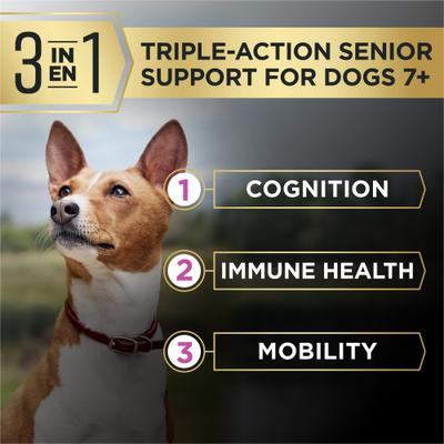 Show full view: Purina Pro Plan AdvantEDGE Senior Support Plus Small Breed Shredded Blend Chicken & Rice Formula Senior Dry Dog Food, 12-lb bag slide 3 of 9
