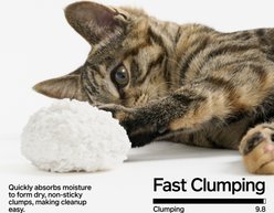 Pidan Cassava Cat Litter, 5.29-lb bag, 4 count slide 2 of 7