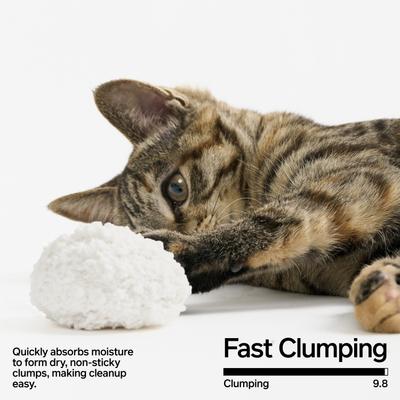 Show full view: Pidan Cassava Cat Litter, 5.29-lb bag, 1 count slide 5 of 8