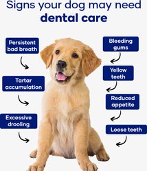 Aniwell Dental Powder Supplement for Dogs, 120-g jar slide 2 of 7