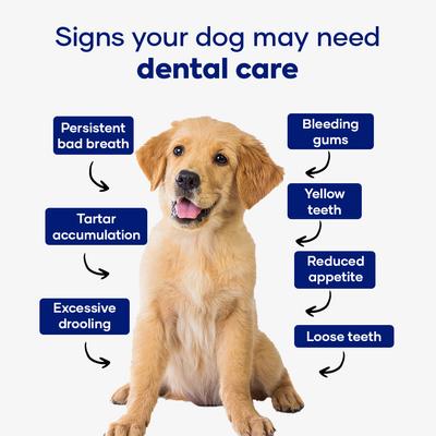 Show full view: Aniwell Dental Powder Supplement for Dogs, 120-g jar slide 4 of 8