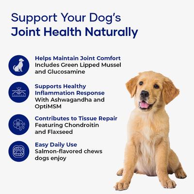 Show full view: Aniwell Hip & Joint Formula Chew Supplement for Dogs, 30 count slide 5 of 8