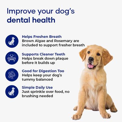 Show full view: Aniwell Dental Powder Supplement for Dogs, 120-g jar slide 5 of 8