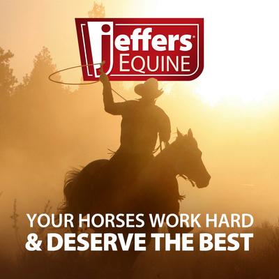 Show full view: Jeffers Motion Potion Pellet Horse Joint Supplement, 10-lb bucket slide 6 of 6