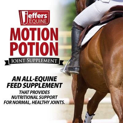 Show full view: Jeffers Motion Potion Pellet Horse Joint Supplement, 10-lb bucket slide 3 of 6