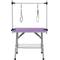 Show in main carousel: Zeus & Ruta Dog Grooming Table with Adjustable Arms & Storage Basket, Purple, 42-in slide 5 of 6