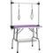 Show in main carousel: Zeus & Ruta Dog Grooming Table with Adjustable Arms & Storage Basket, Purple, 42-in slide 2 of 6