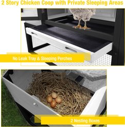 Aivituvin AIR23-B Wooden Chicken Coop on Wheels, 2 to 3 Chicken Capacity, X-Large: 67.3-in slide 2 of 5