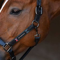 B Vertigo Lennox Leather Horse Halter, Deauville Mauve, Warmblood slide 2 of 9