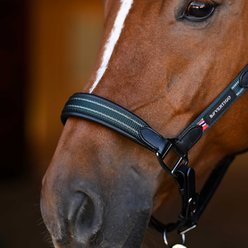 B Vertigo Lennox Leather Horse Halter, Deauville Mauve, Horse slide 2 of 9