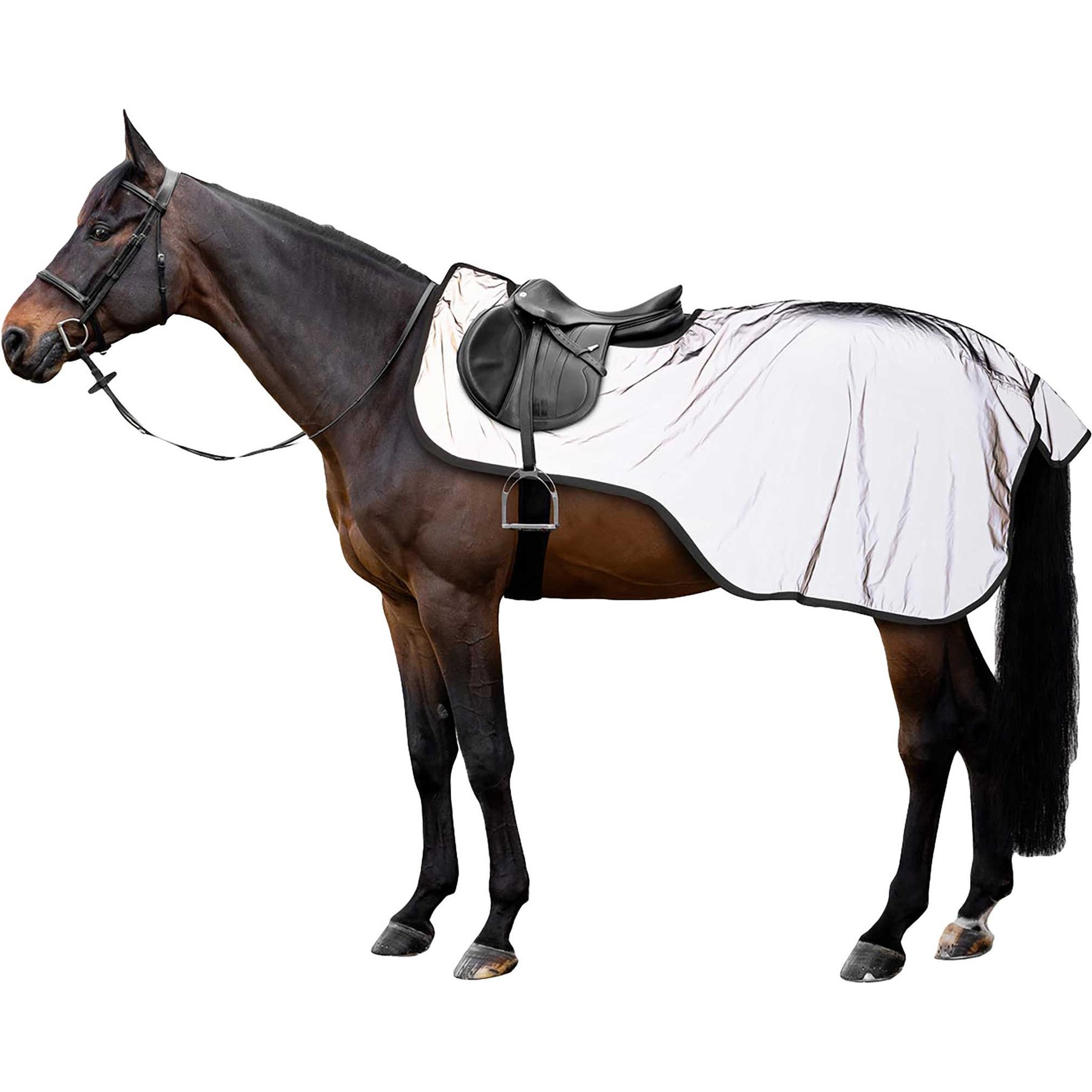Horze Hi Viz Reflective Riding Horse Sheet, 69-in