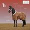 Show in main carousel: Horze Lincoln Fleece Horse Blanket with Padded Collar, Nightshade, 66-in slide 2 of 3