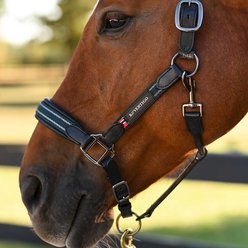 B Vertigo Lennox Leather Horse Halter, Deauville Mauve, Cob slide 2 of 9
