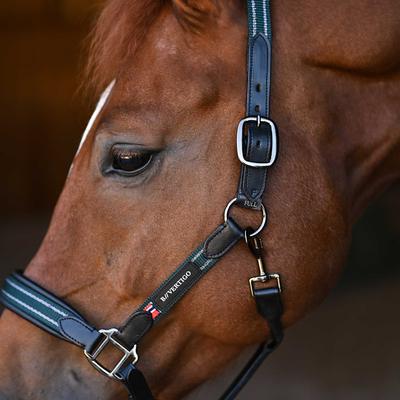 Show full view: B Vertigo Lennox Leather Horse Halter, Deauville Mauve, Cob slide 2 of 9