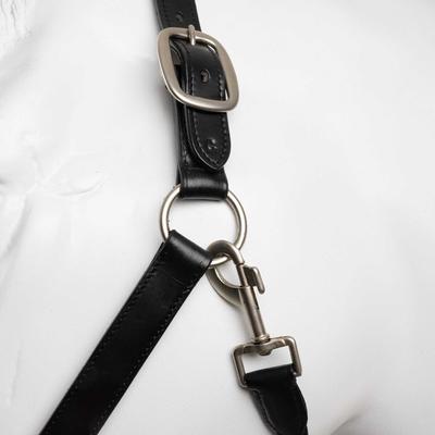 Show full view: Horze Dynasty Crystal Leather Horse Halter, Black, Pony slide 2 of 6