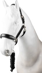 Horze Dynasty Crystal Leather Horse Halter, Black, Cob