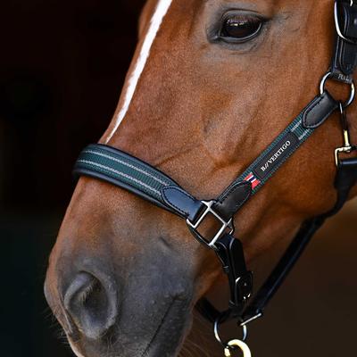 Show full view: B Vertigo Lennox Leather Horse Halter, Deauville Mauve, Cob slide 6 of 9