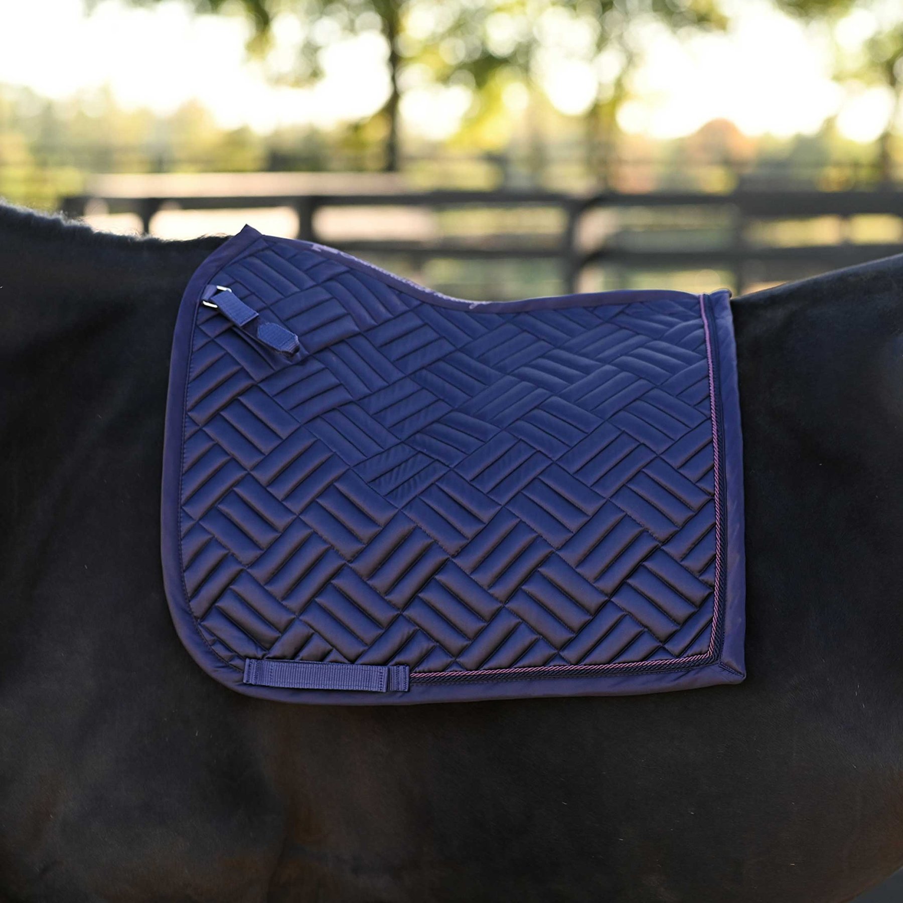 Horze Aachen Dressage Horse Saddle Pad, Nightshade, Pony