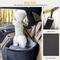 Show in main carousel: Pecute Multi-Functional Waterproof Dog Car Booster Seat with 2 Safety Belts, Grey slide 7 of 10