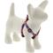 Show in main carousel: LupinePet Snow Pup Design Step-in Dog Harness, 12 to 18 in chest, 1/2-in wide slide 1 of 6