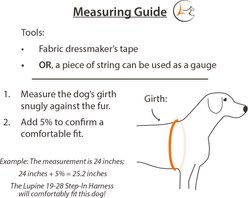LupinePet Thanksgiving Turkeys Adjustable Step In Dog Harness, Turkey Trot, Large: 24 to 38-in chest girth, 1-in wide slide 2 of 6