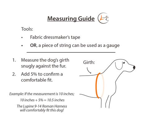 Show full view: LupinePet Nature Inspired Original Design Adjustable Dog Harness, Intervale, Large: 20 to 32-in chest slide 4 of 6