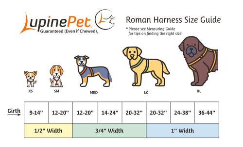 Show full view: LupinePet Nature Inspired Original Design Adjustable Dog Harness, Intervale, Large: 20 to 32-in chest slide 3 of 6