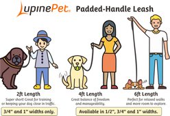 LupinePet Nature Inspired Original Design Padded Handle Nylon Dog Leash, Puffins, Regular: 6-ft long, 1-in wide slide 2 of 5