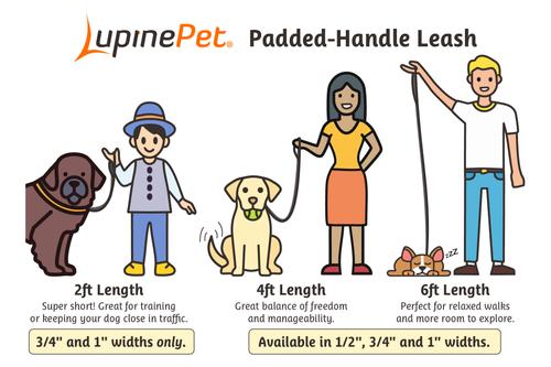 Show full view: LupinePet Nature Inspired Original Design Padded Handle Nylon Dog Leash, Puffins, Regular: 6-ft long, 1-in wide slide 4 of 6