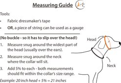 LupinePet Snow Pup Design Martingale Training Dog Collar, Large: 15 to 22-in neck, 1-in wide slide 2 of 6