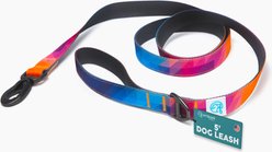 Embark Harness Co. Adventure Dog Leash, Aurora, 5-ft