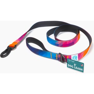 Embark Harness Co. Adventure Dog Leash, Aurora, 5-ft