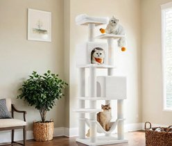 FEANDREA 61-in Multi-Level Cat Tree, Cream White