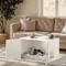 Show in main carousel: FEANDREA Furniture Style Barn Door End Table Cat Litter Box Enclosure, White slide 3 of 7