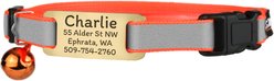 GoTags Personalized Breakaway Reflective Cat Collar with Engraved Tag & Bell, Orange/Gold, 8 to 12-in neck, 3/8-in wide