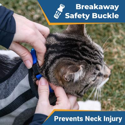 Show full view: GoTags Personalized Breakaway Cat Collar with Engraved Tag & Bell, Black/Rainbow, 8 to 12-in neck, 3/8-in wide slide 4 of 8