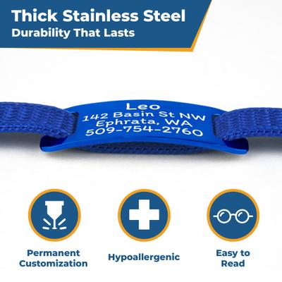 Show full view: GoTags Personalized Breakaway Cat Collar with Engraved Tag & Bell, Pink/Blue, 8 to 12-in neck, 3/8-in wide slide 5 of 7