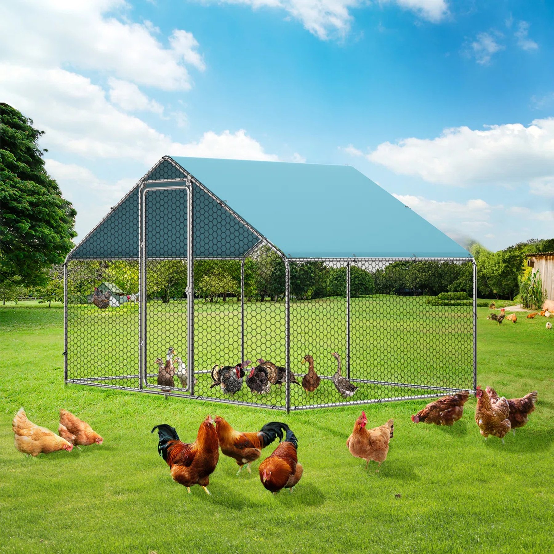 LovMor Metal Chicken Coop, 19.6 x 10 x 6.56-ft