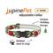 Show in main carousel: LupinePet Christmas Tree Design Dog Collar, 12 to 20-in neck, 1-in wide slide 4 of 8