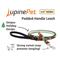 Show in main carousel: LupinePet Christmas Tree Design Padded Handle Small Dog & Cat Leash, 6-ft long, 1/2-in wide slide 2 of 5